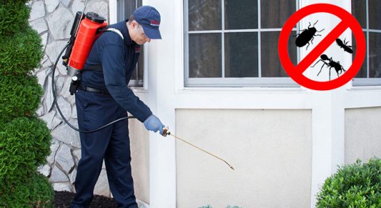 Akkuş Böcek İlaçlama böcek ilaçlama ve haşere kontrolü — ilaclama-tr.com